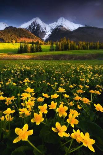 tumblr_a3358355a00a7b429cfc37f60ecb32f3_d8043a37_540