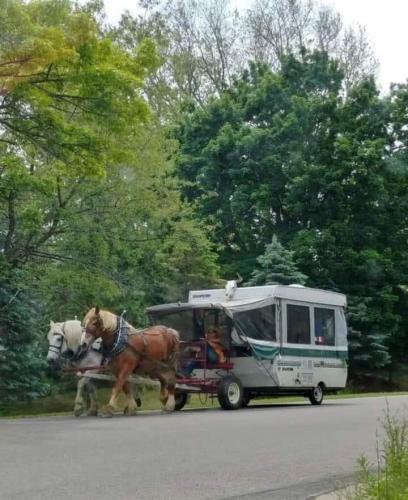 20:39:33 GMT-0400 (EDT)