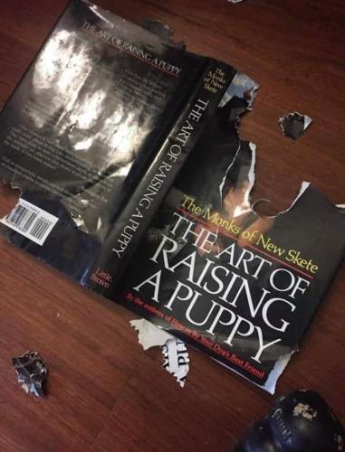 16:03:02 GMT-0700 (PDT)