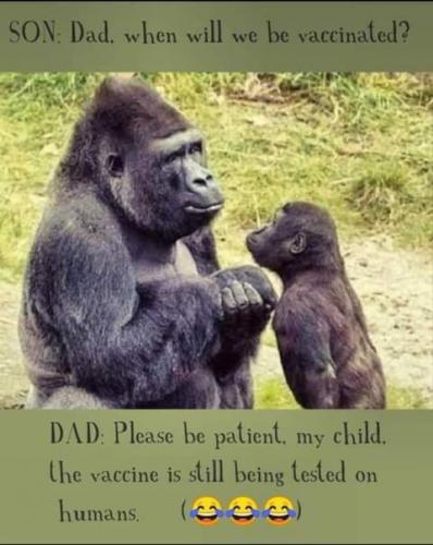 FB_IMG_1626484638510