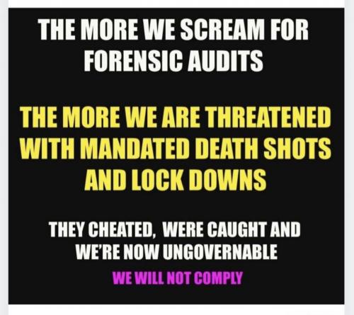 4A19FB5B-DD0E-4AA9-91E7-126BDE5A41B1-3920-000002A2D4268AED