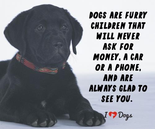 209749764_10158379627186134_325111848568944605_n