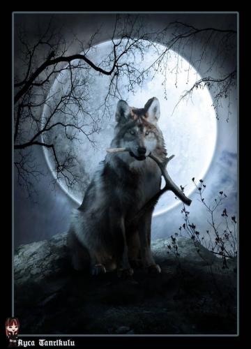 10:10:18 GMT-0500 (CDT)