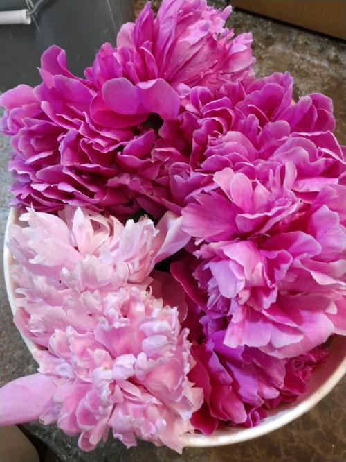 IMG_20210603_195856108