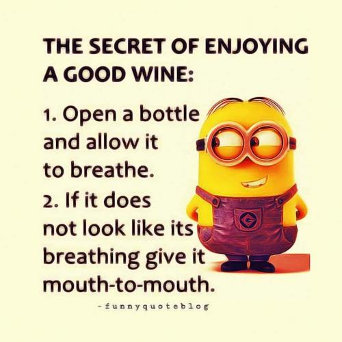 FB_IMG_1627389416176