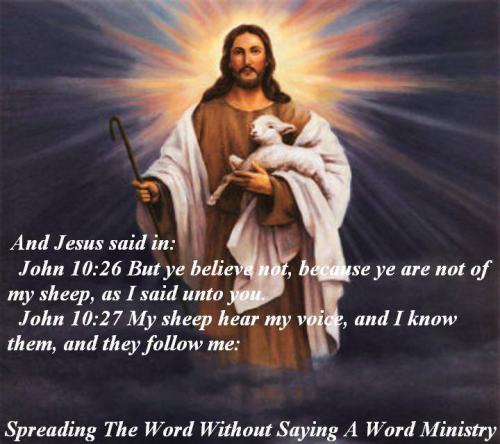 222294412_4087637324668701_3818147473796769683_n