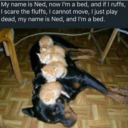 15:47:56 GMT-0700 (PDT)