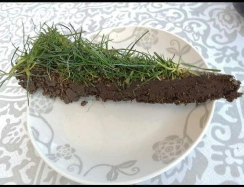 11:27:17 GMT-0500 (CDT)