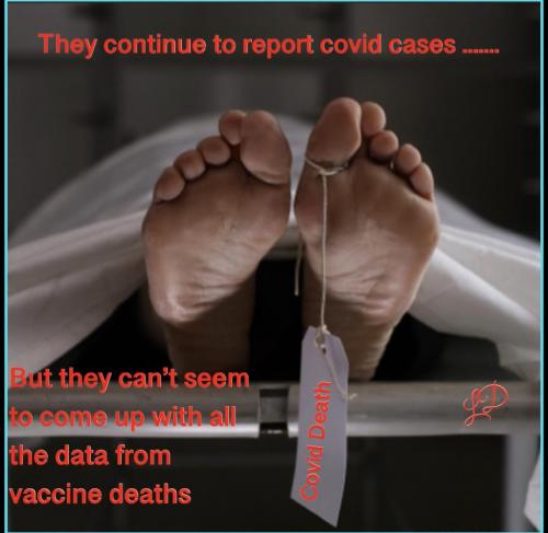 11:14:18 GMT-0500 (CDT).image