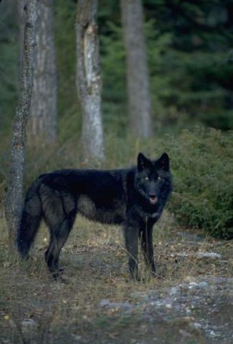 21:33:31 GMT-0500 (CDT)