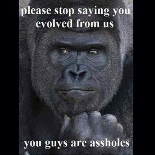 14:53:51 GMT-0500 (CDT)