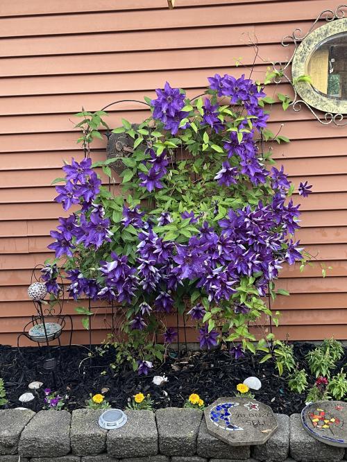 8F6B650E-BFEE-4902-9AA7-1A4199B4DEE4