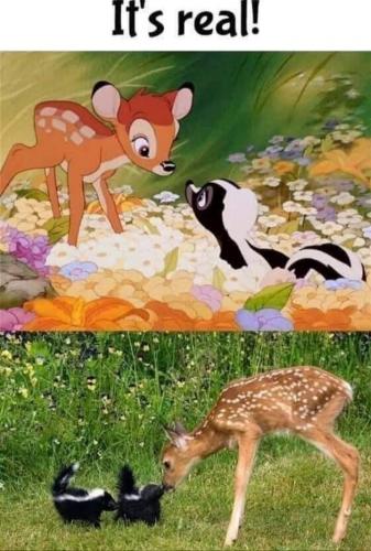 FB_IMG_1627653340647