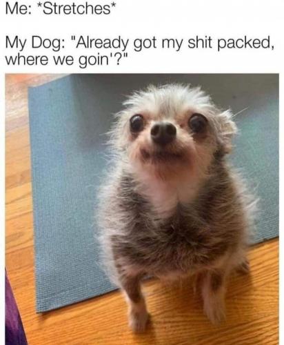 23:48:09 GMT-0400 (EDT)