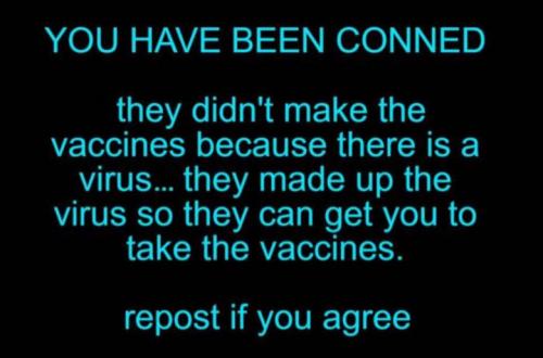 vaccine252
