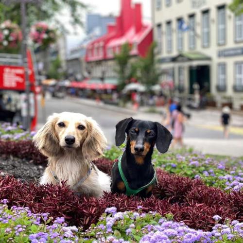 FB_IMG_1626220467408