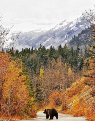 tumblr_3090f811a5eafd96bc5dee3154ac5bb6_9a744db5_540