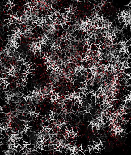 FB_IMG_1625948594727