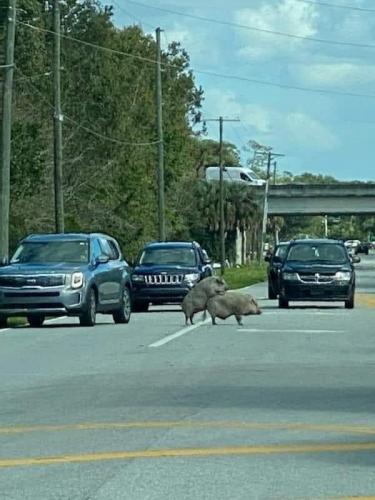 19:41:02 GMT-0700 (PDT)