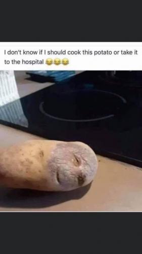 222169058_4334990089857601_1037969119870077933_n