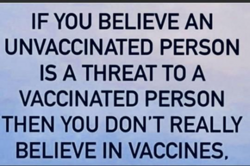 believe+in+vaccine+not