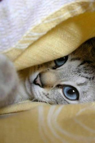 FB_IMG_1625401418036