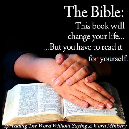 10492356_617453608353774_4499497573654807650_n