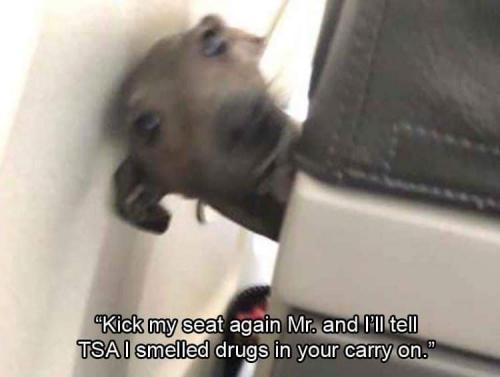 FB_IMG_1627135107536