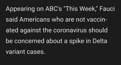 Screenshot_20210711-143508_SmartNews