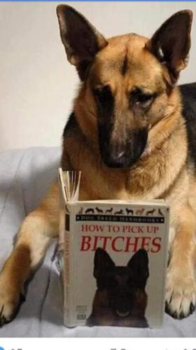 22:30:44 GMT-0700 (PDT)