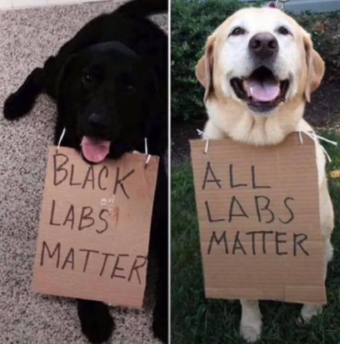 213184330_565023284870364_7743365235357352273_n