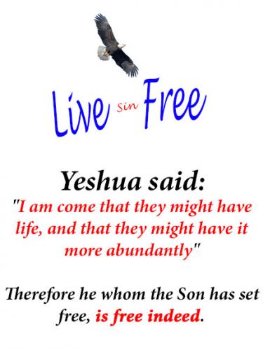 Live Sin Free