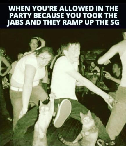 Screenshot_20210707-231805_Instagram