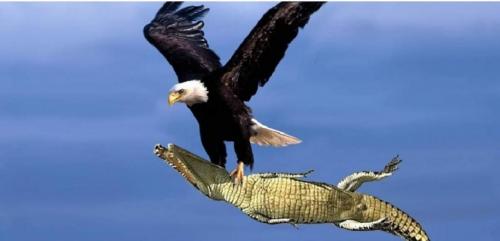 FB_IMG_1626148523234