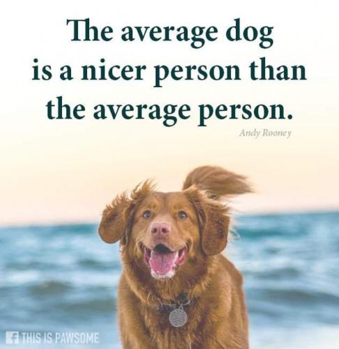 FB_IMG_1627377821048