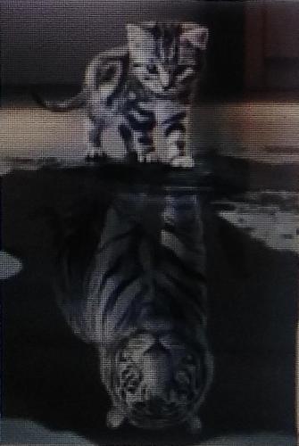 WHAT DO YOU SEE IN THE MIRROR