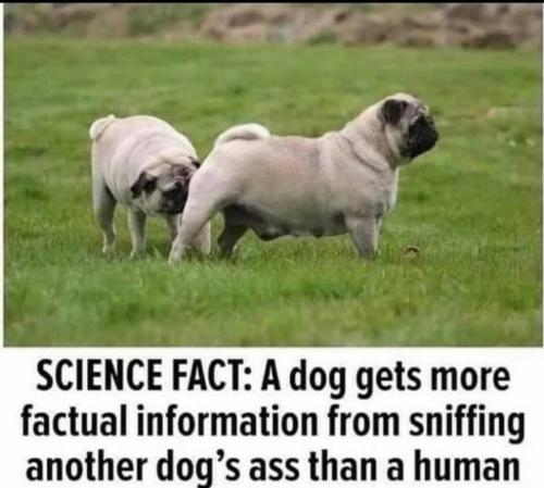 Fact checkers are fake AF