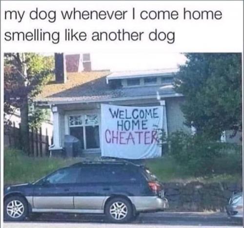 15:55:58 GMT-0700 (PDT).image