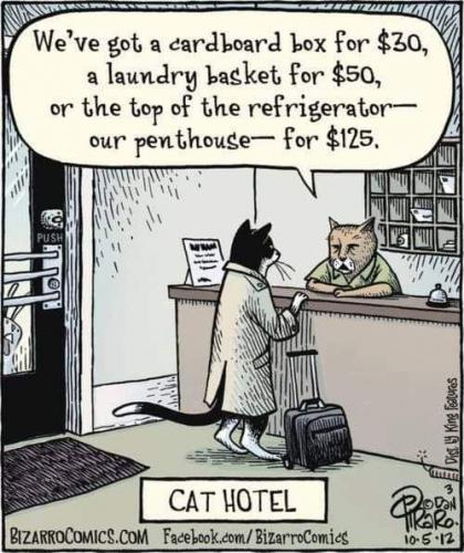 18:57:38 GMT-0700 (MST)