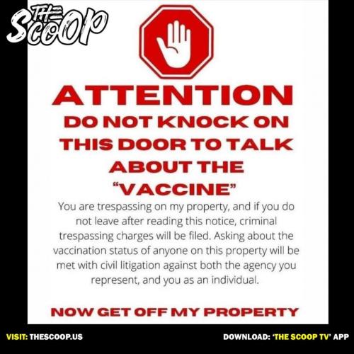 201675834_1445559502526853_5268773098707813217_n