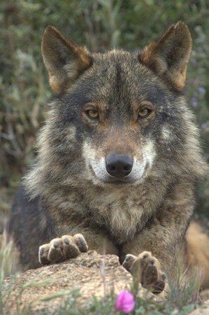 21:02:25 GMT-0500 (CDT)