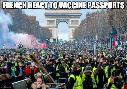 photo_2021-07-16_02-59-40