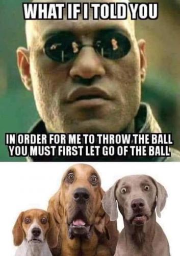 00:55:28 GMT-0700 (PDT).image