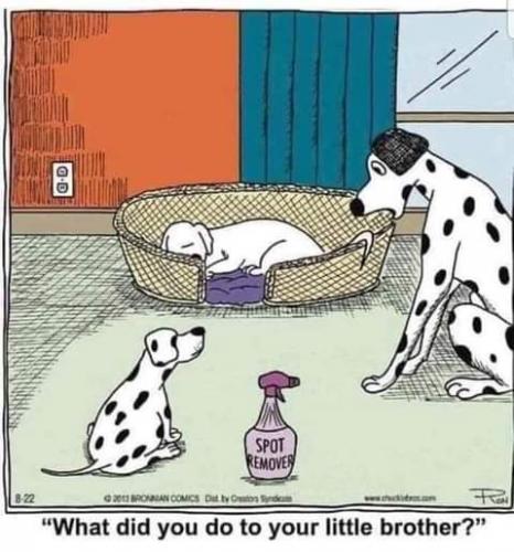 FB_IMG_1626450260713