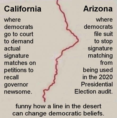 voterfraud195