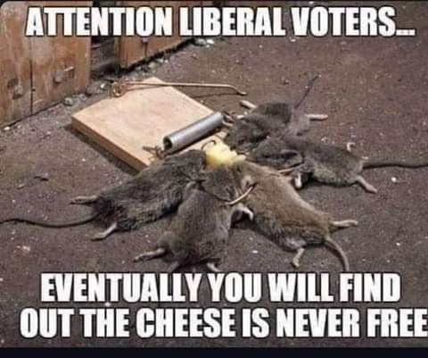 FB_IMG_1626476420158