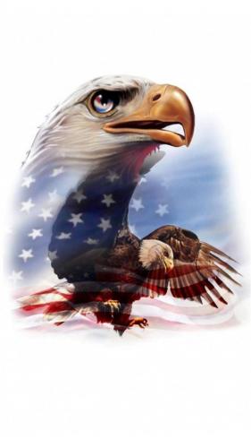 American_Eagle_Flag-33a3ac27-ceff-4f24-99f4-06c0646bc60e