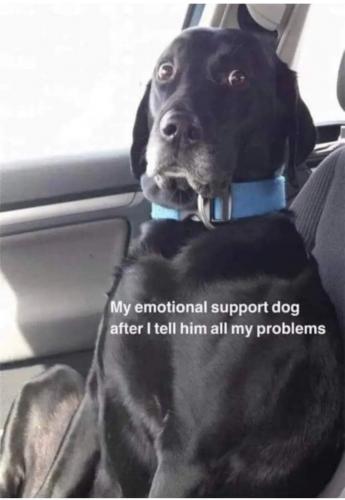 FB_IMG_1627610268252