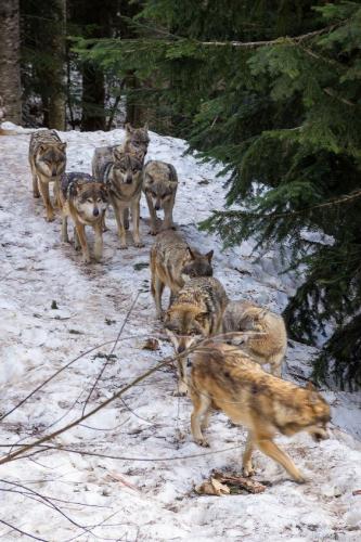 a2d917dfe11974f50ae58cdc2a1ffaea