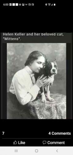 20:03:10 GMT-0700 (PDT)